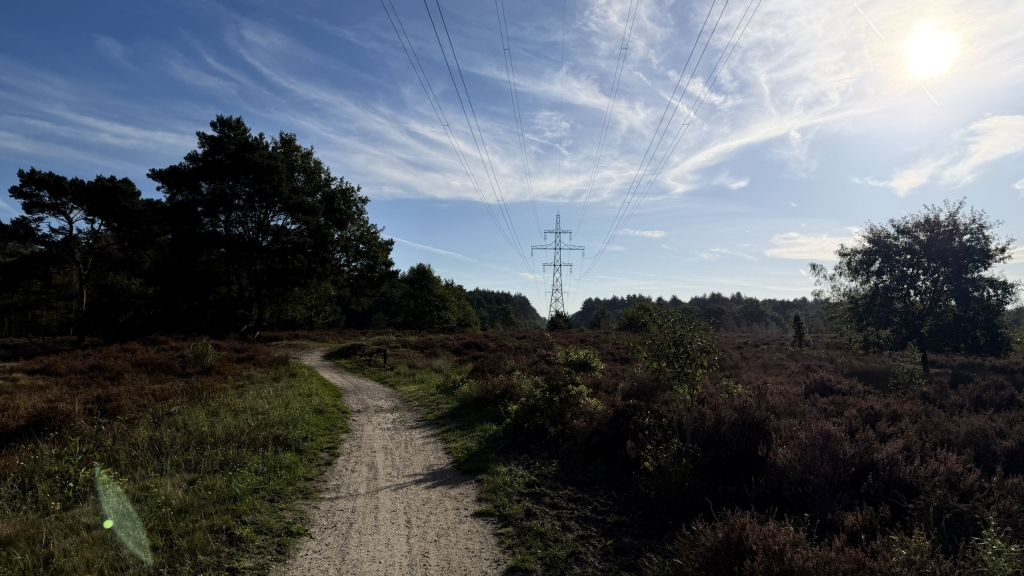 Leenderheide