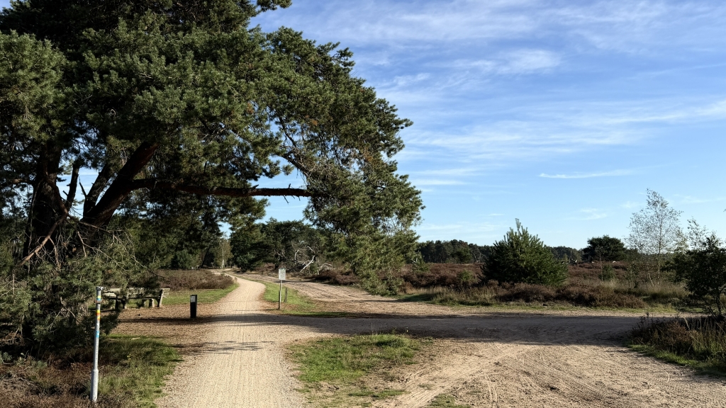 Strabrechtse heide kruising