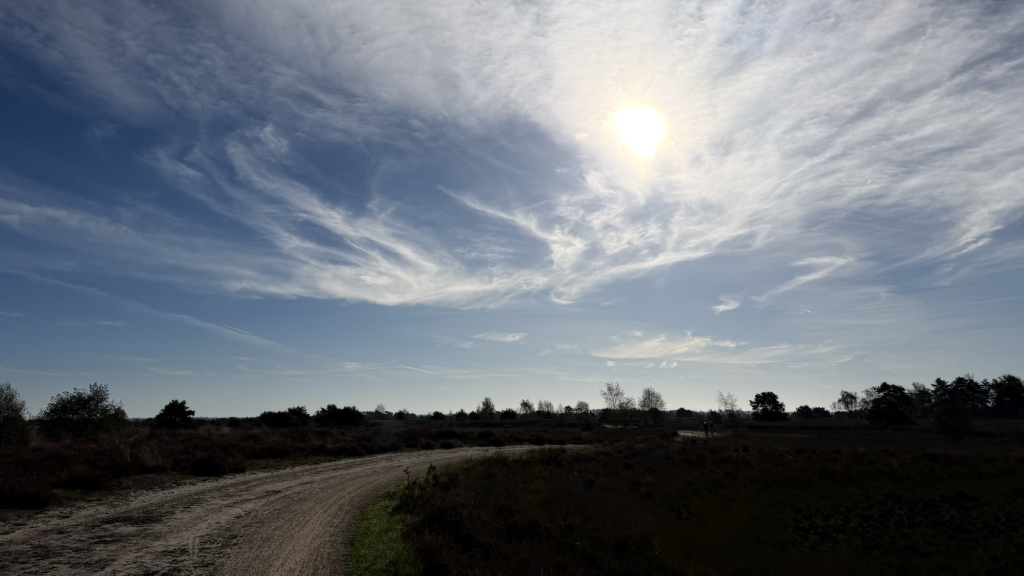 Strabrechtse heide