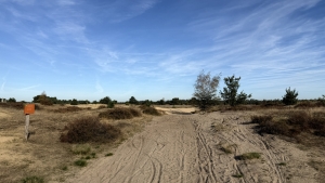 strabrechtse heide zandgrond