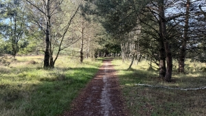 Stratumse Heide