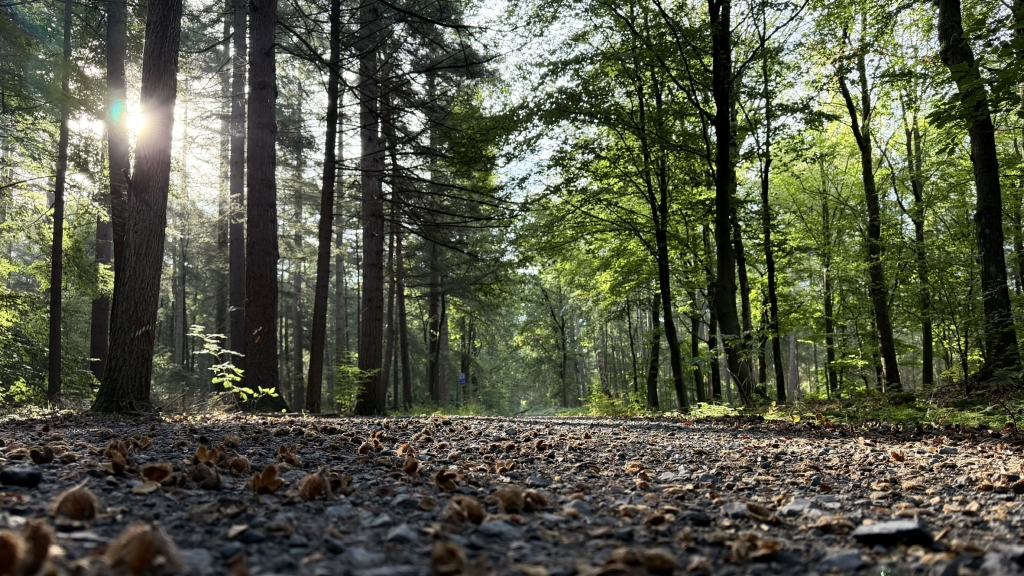Leenderbos Leenderbos