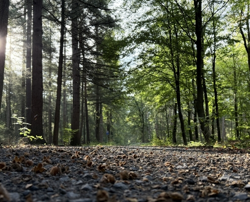 Leenderbos