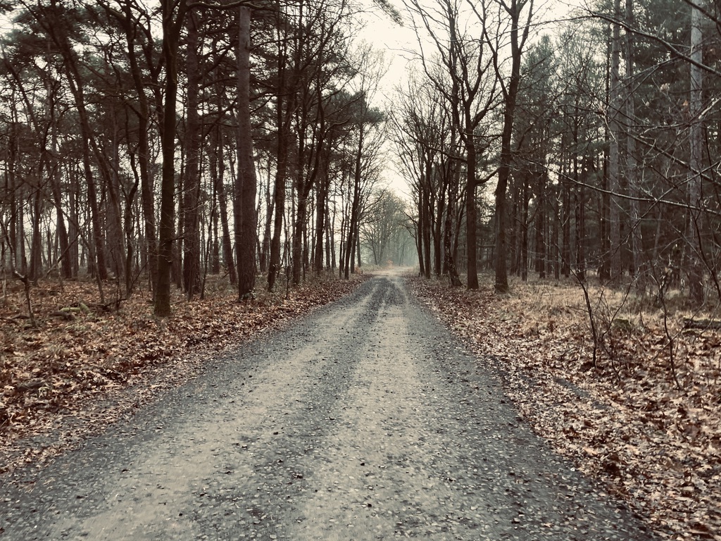 Leenderheide